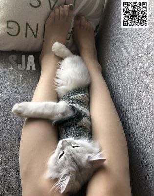 最新免费在线观看网址_BD版国语迅雷下载